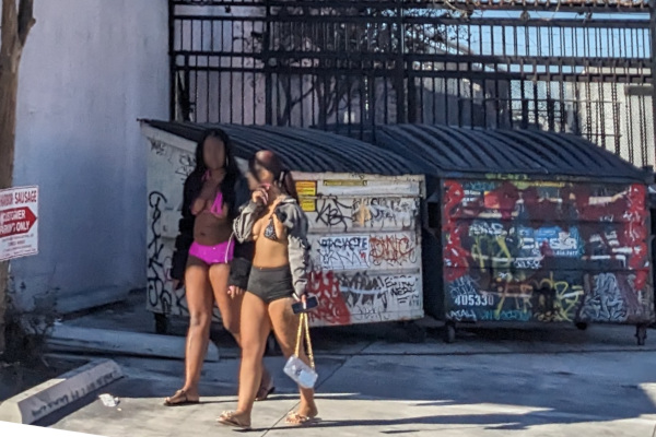 legal sex workers